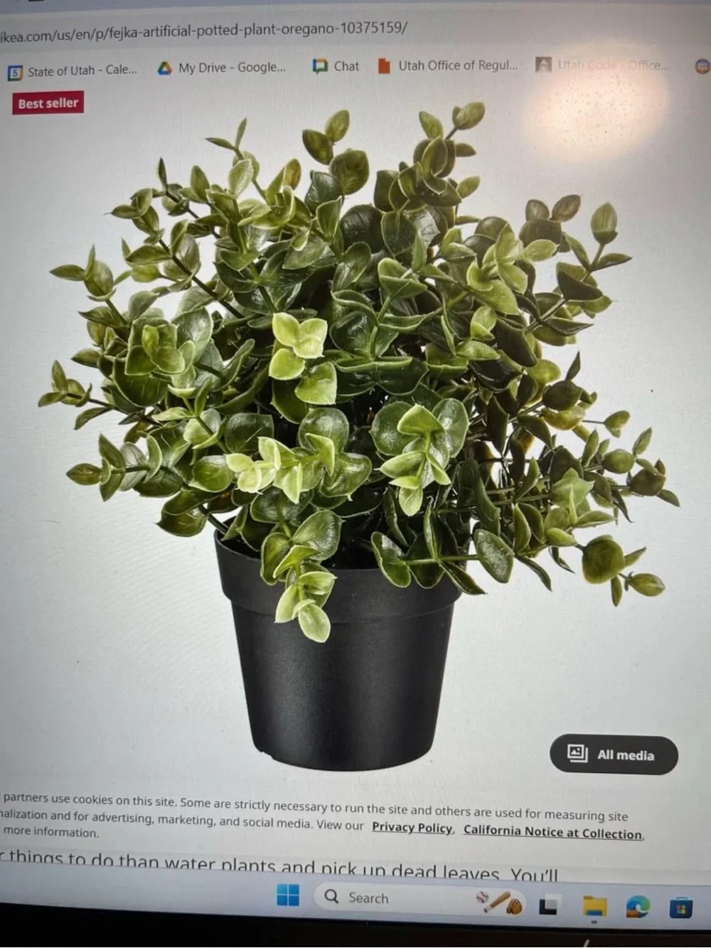 IKEA Plants and Gold Planters